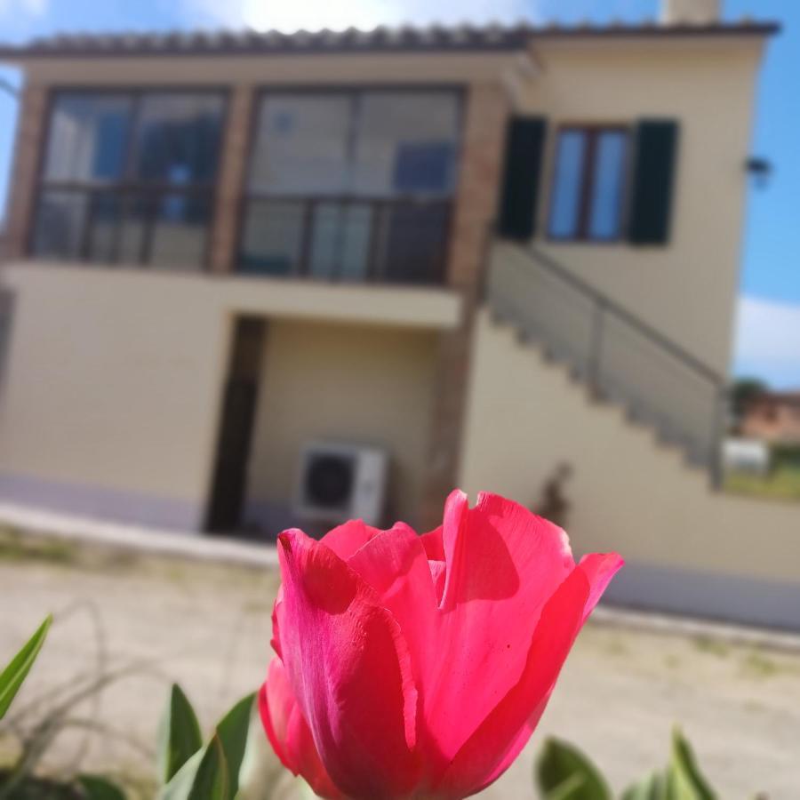 몬티시아노 Casa Di Zio 빌라 외부 사진
